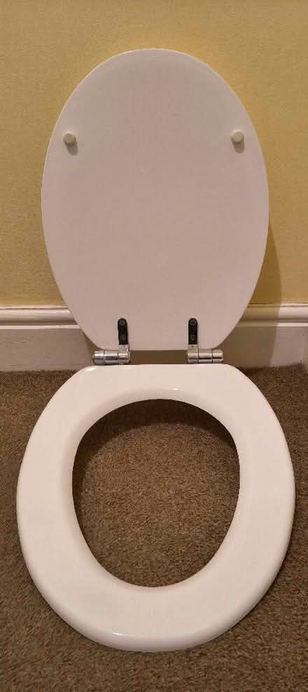 Photo of free Toilet seat (Manor Park E12) #2