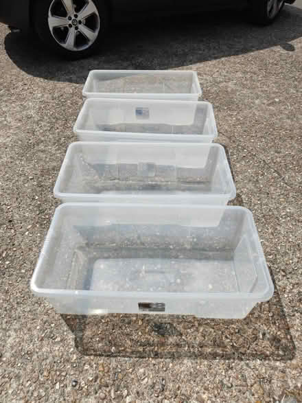 Photo of free 4 x Wham 62l plastic crates (Hurst Park, Molesey KT8) #2