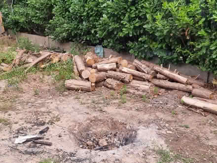 Photo of free Wooden logs (Gatley SK8) #1