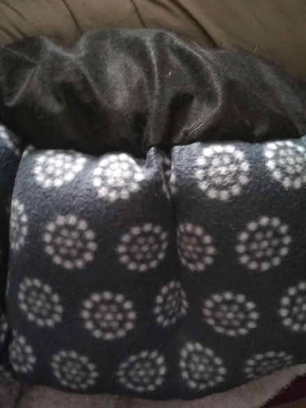 Photo of free Dog bed freshly laundered (Dublin central) #2