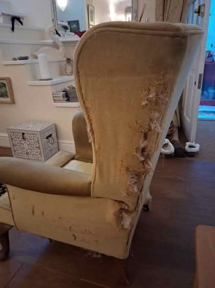 Photo of free Armchair (Bath BA1) #2