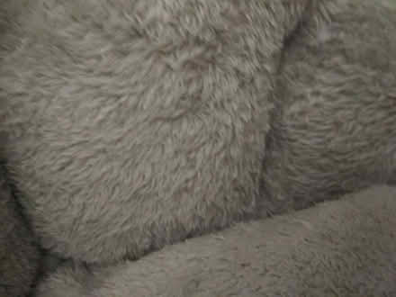 Photo of free Dog bed freshly laundered (Dublin central) #4