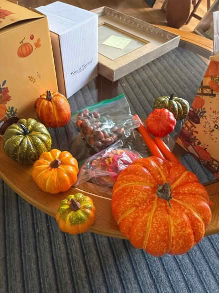 Photo of free Artificial Pumpkins (Los Altos) #1
