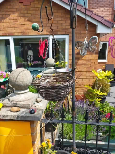 Photo of free Hanging baskets (Oswestry SY11) #1