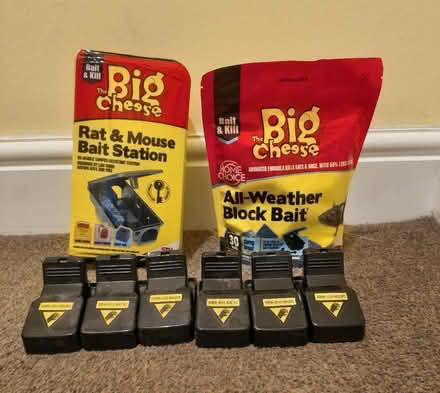 Photo of free Rat & Mouse Traps (Manor Park E12) #1