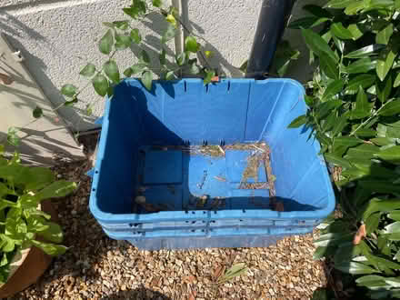 Photo of free 3 x Blue Plastic Boxes (Oxley Park MK4) #2