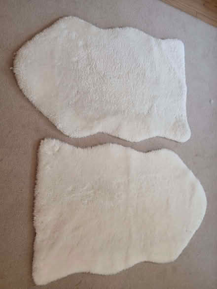 Photo of free Fake fur sheepskin rugs (Bear Flat BA2) #1