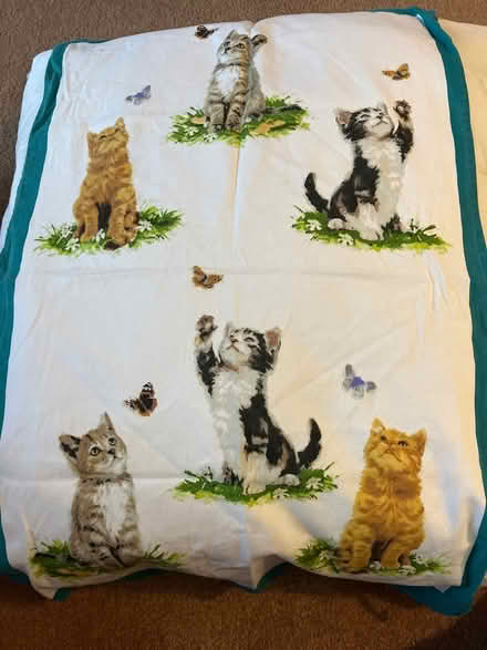 Photo of free Tea towel (PE19 (Offord)) #1