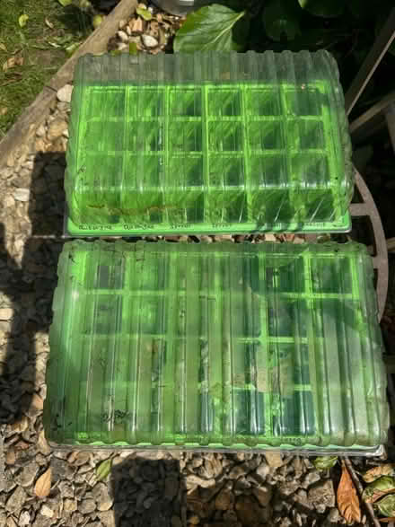 Photo of free Seed trays.. sprinkler…. Netting. (Cutteslowe OX2) #2
