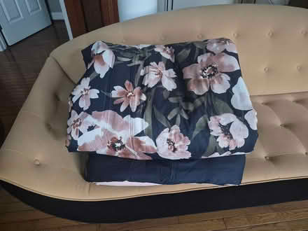 Photo of free King Size Comforter (Eagleview) #1