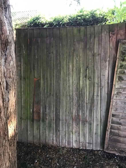 Photo of free Weathered sturdy fence panels x 4 (Bewdley DY13) #2