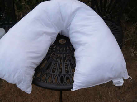 Photo of free "V" shape pillow. Silentnight brand. Few tiny stains (Kempsey WR5) #1