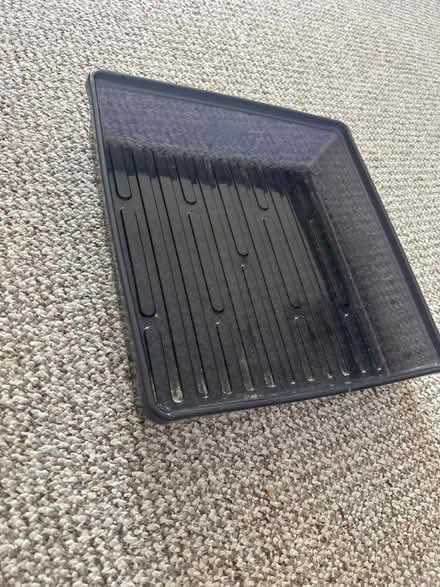 Photo of free 16 cell growing tray (Fulham SW6) #2