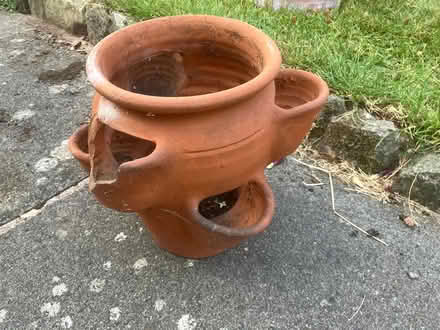 Photo of free Terracotta strawberry pot (Desford, Leicester LE9) #2