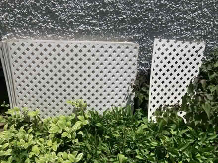 Photo of free Plastic trellis w/mounting frames (Petworth/ Park View) #1