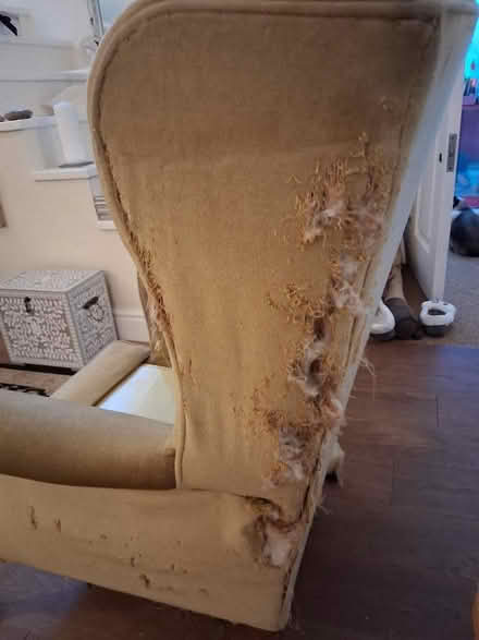 Photo of free Armchair (Bath BA1) #3