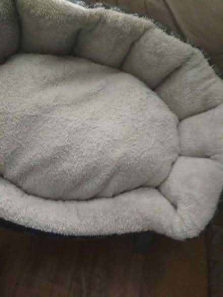 Photo of free Dog bed freshly laundered (Dublin central) #1