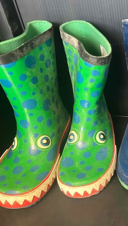 Photo of free Children’s Dinosaur Wellies (Watford WD24 Tudor) #1