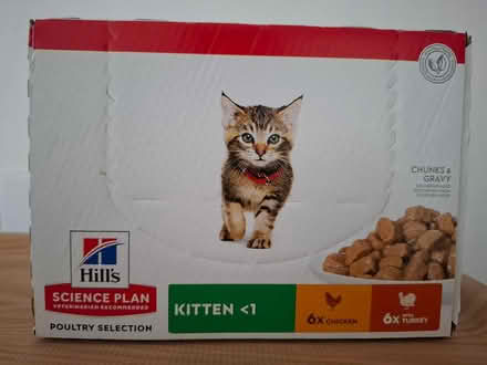 Photo of free Kitten, Adult cat & Dog food (Kegworth DE74) #4