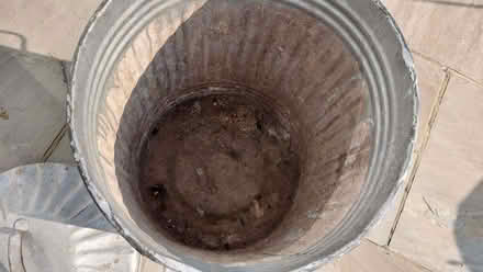 Photo of free Metal dustbin (Aldrington BN3) #2