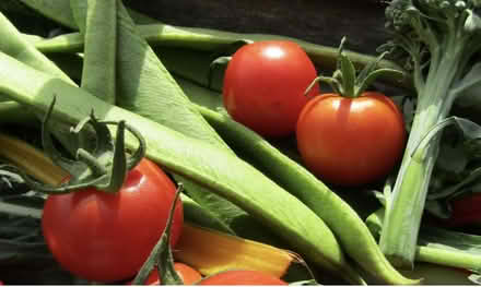 Photo of Home grown vegetable (King's Acre HR4) #1