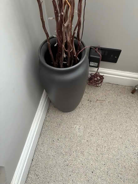 Photo of free Decorative light twigs and vase (St Albans) #2