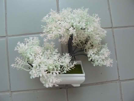 Photo of free Small plastic bonsai tree 6" tall. Faded (Kempsey WR5) #1