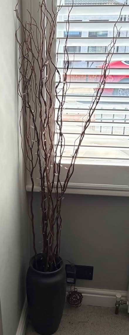 Photo of free Decorative light twigs and vase (St Albans) #1