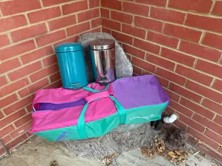 Photo of free Travel cot and bins (Badshot Lea GU11) #1