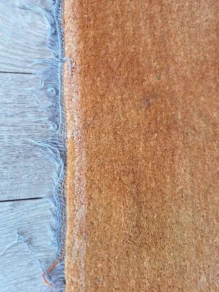 Photo of free 3m x 2m thick orange wool carpet (Chalford Hill GL6) #2