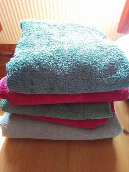 Photo of free Old bath towels for dogs (Killamarsh S21) #1