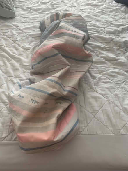 Photo of free Iron board cover (Stretford M32) #1