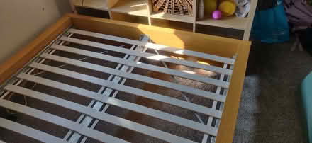 Photo of free Ikea MALM Double Bed Frame (Kingsdown BS6) #3