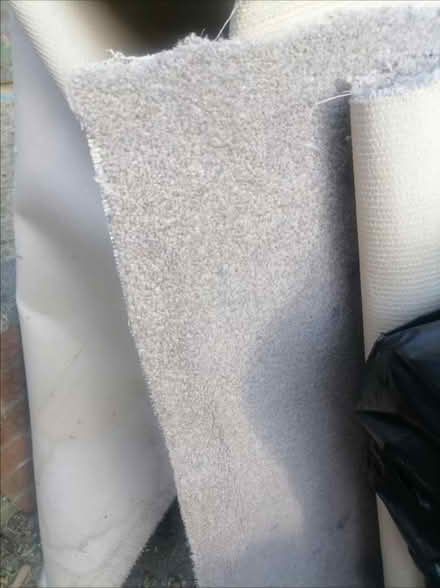Photo of free Living room carpet (Winson green B18) #2
