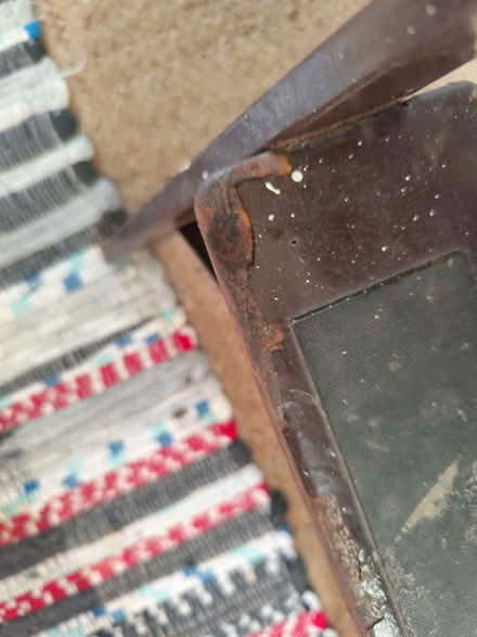 Photo of free Small steps - tatty! (Gidea Park RM11) #3