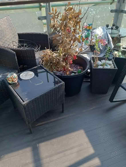 Photo of free Massive planters (Eastbourne BN22) #2