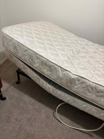 Photo of free Bed - Single Adjustable Bed (Albany Creek) #1