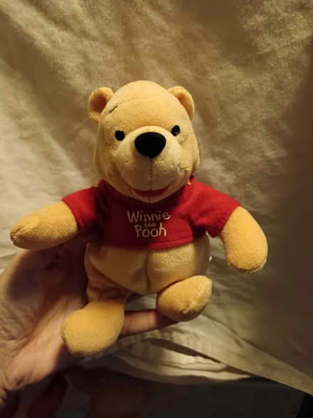 Photo of free Pooh Bears (St. Stephen's CT2) #1