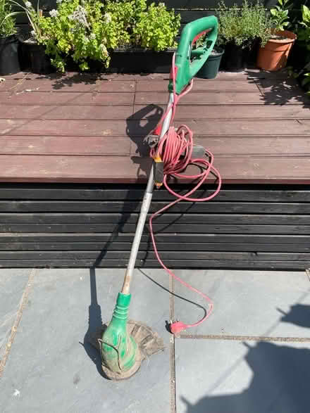 Photo of free Strimmer (Dyke Road area BN1) #1