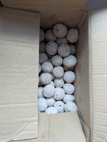 Photo of free Suet balls (CR0) #1