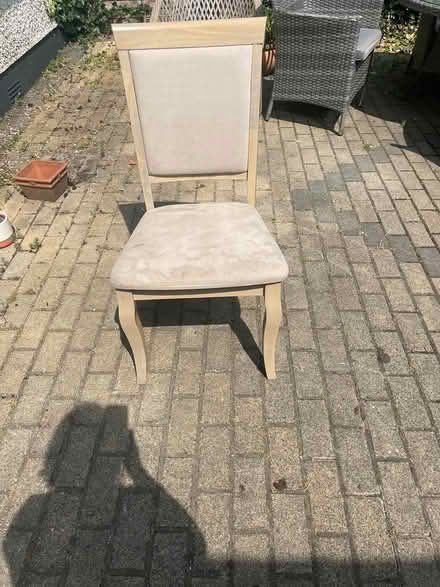 Photo of free 5 dining room chairs (Glenageary, South Dublin) #1