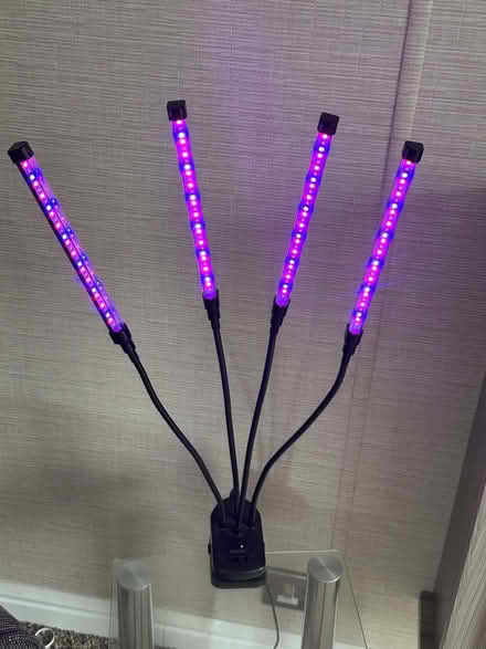 Photo of free LED Plant growing lights (Little Birch HR2) #4