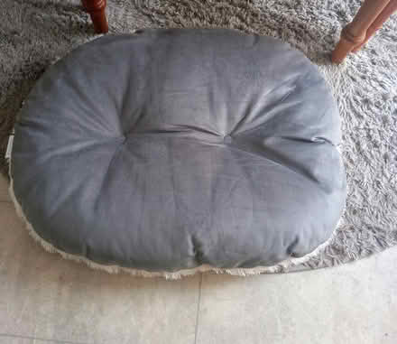 Photo of free New Dog Cushion (Birmingham B44) #2