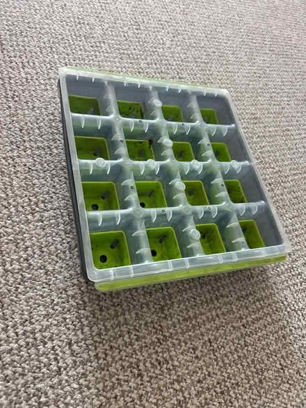 Photo of free 16 cell growing tray (Fulham SW6) #3