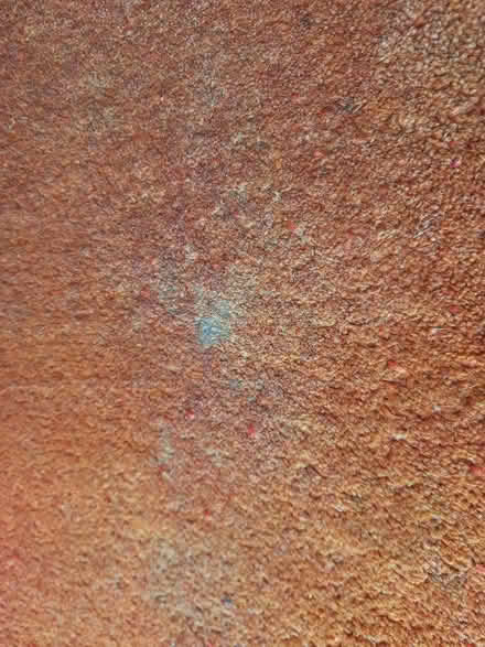 Photo of free 3m x 2m thick orange wool carpet (Chalford Hill GL6) #3