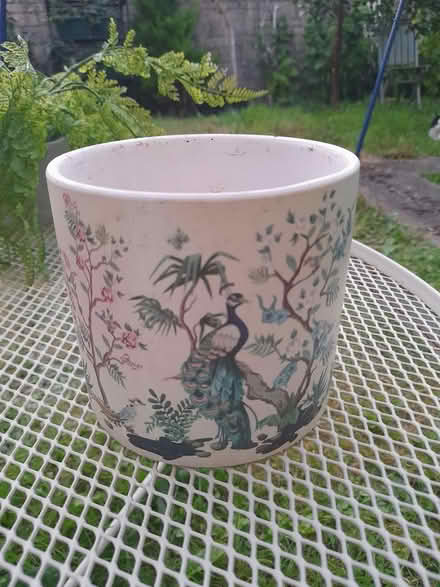Photo of free Plant pots (Larkhall, Bath BA1) #3