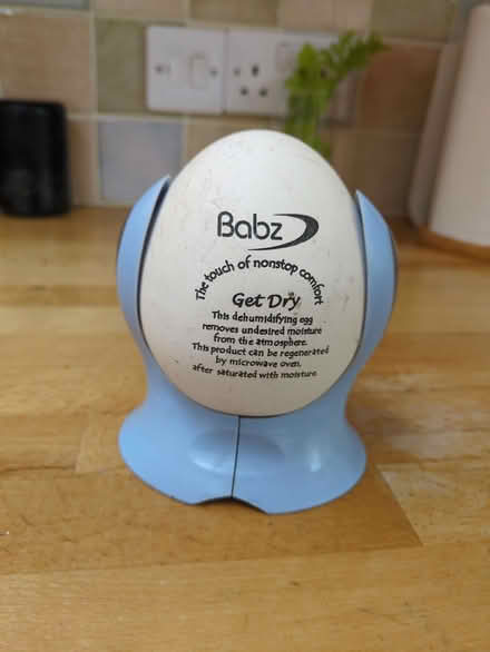 Photo of free Dehumidifying Egg (Botley OX2) #1