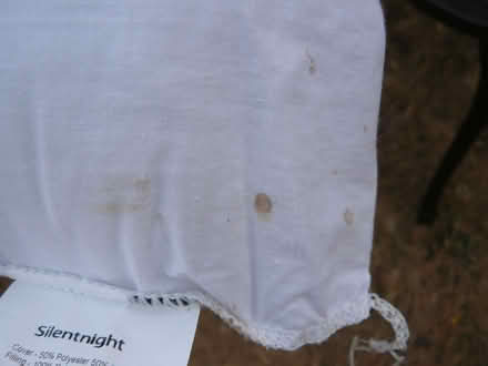 Photo of free "V" shape pillow. Silentnight brand. Few tiny stains (Kempsey WR5) #3