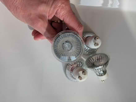 Photo of free Halogen light bulbs (Silverknowes EH4) #1