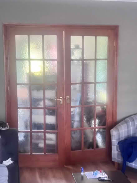 Photo of free French doors (Whiton TW45LU) #2